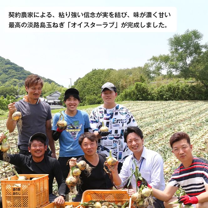 淡路島産玉ねぎオイスターラブ 10kg箱　玉ねぎ