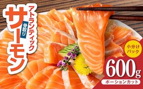 G3544-2 【スピード発送】アトランティックサーモン 600g【小分け ポーション 柵切り 刺身 魚介 海鮮 さーもん 生食 訳あり サイズ不揃い】