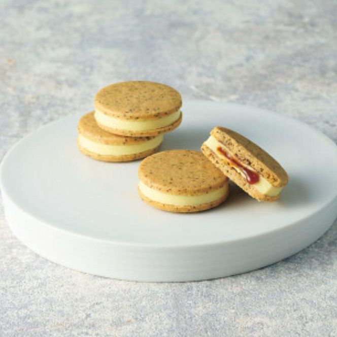 【ギフト包装対応】【期間限定】ザ・スウィーツ ショコラサンド (5個) ｜シャディ スイーツブランド 人気セット スイーツ［ シャディ お取り寄せ ショコラサンド 人気 おすすめ ナッツ ラズベリー 紅茶 レモン ギフト プレゼント 贈答 お菓子 スイーツ 通販 京都 ふるさと納税 ］ 261009_SHDYAS010