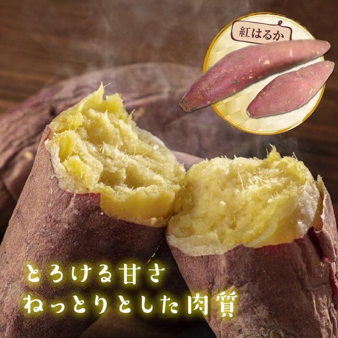 【先行予約】【2026年11月より順次発送開始】さつまいも　特選紅はるか 約5kg｜さつまいも 芋 お芋 紅はるか タネのハシモト 茨城県 行方市(BS-10)