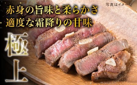 【月200件限定！】【極上 ヒレ ステーキ】 100g×4枚 A4ランク 博多和牛 糸島 【糸島ミートデリ工房】[ACA055] ヒレステーキ ステーキ 赤身 ヒレ 肉 フィレ ヘレ 牛肉 黒毛和牛 希少部位