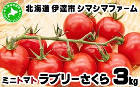 【 2025年 発送 】 先行予約 北海道 伊達市 ミニトマト ラブリーさくら 3kg 【オンライン決済限定】