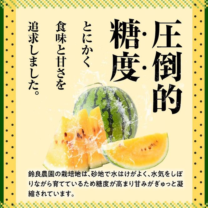 〈予約受付〉【2027年発送】甘さを追求したすいか「金色羅皇」1玉 すいか 甘い 糖度 黄色 果物 フルーツ 数量限定 碧南市 鈴良農園 H141-014