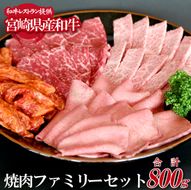 【BBQで大活躍！】宮崎県産和牛焼肉ファミリーセット 計800g（黒毛和牛 牛肉 お肉 タン モモ カルビ 焼肉 焼肉用）