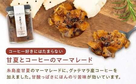 ベジタブル ジャム 詰め合わせ 3個 セット 糸島市 / いとしまジャム [AVF001] ジャム ギフト セット じゃむ 加工品 ソース 瓶 加工品 無添加