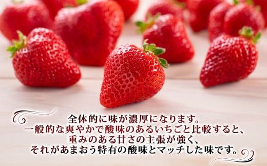 【訳あり】完熟あまおう 4パック 合計約1.1kg 【2026年3月下旬出荷予定】いちご 苺 イチゴ 果物 フルーツ