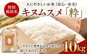  ＜令和6年度 特別栽培米「粋」キヌムスメ 10kg＞ ※入金確認後、翌月末迄に順次出荷します。【c861_kh_x5】