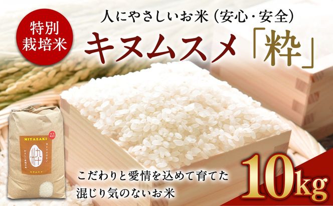  ＜令和6年度 特別栽培米「粋」キヌムスメ 10kg＞ ※入金確認後、翌月末迄に順次出荷します。【c861_kh_x5】