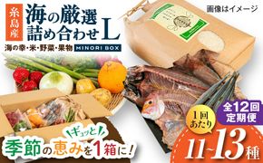 【全12回定期便】糸島産 魚 米 野菜 果物 厳選詰め合わせ MINORI BOX Lサイズ 糸島市 / emma.Inc / 米 魚 野菜 果物 詰め合わせ[AOP030]