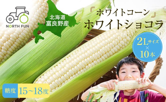 【2026年7月発送】富良野産 ホワイトコーン『ホワイトショコラ』BIG 2Lサイズ10本 とうもろこし