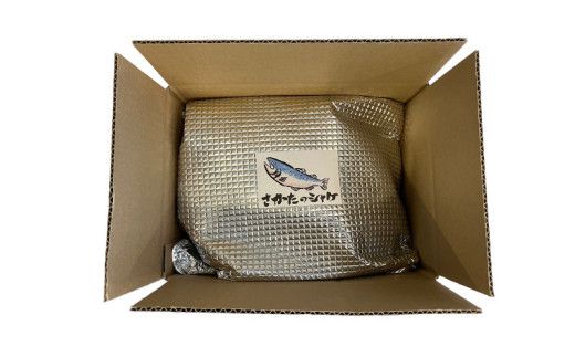 厚切り 銀鮭 の 切り身 【 半尾 】約 1kg （ 8切 ～ 10切 ） 鮭 切身 半身 厳選 甘塩 さけ サケ しゃけ シャケ 冷凍 真空 時短 弁当 おつまみ 魚 魚介 [CL003us]