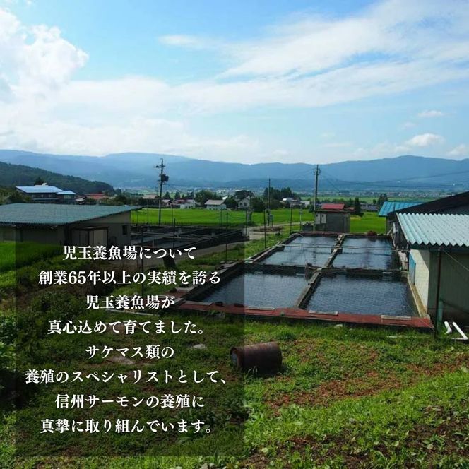 トロリとろける信州サーモン350g～400g（虹鱒×ブラウントラウト）と虹鱒イクラ醤油漬け150g 魚貝類 簡単調理 海鮮丼 程よい脂 生食用 刺身 魚卵 魚介セット 