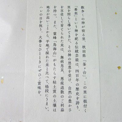 米 お米 【定期便】10kg（5kg×2袋）×10ヶ月 鳥海山の恵み 農家直送！ あきたこまち［精米 したて！］ 10カ月 10回 サブスク