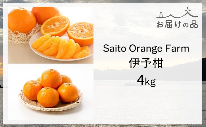 【先行予約】Saito Orange Farm ご家庭用 伊予柑4kg （2027年1月中旬頃より順次発送予定）IKTAQ027