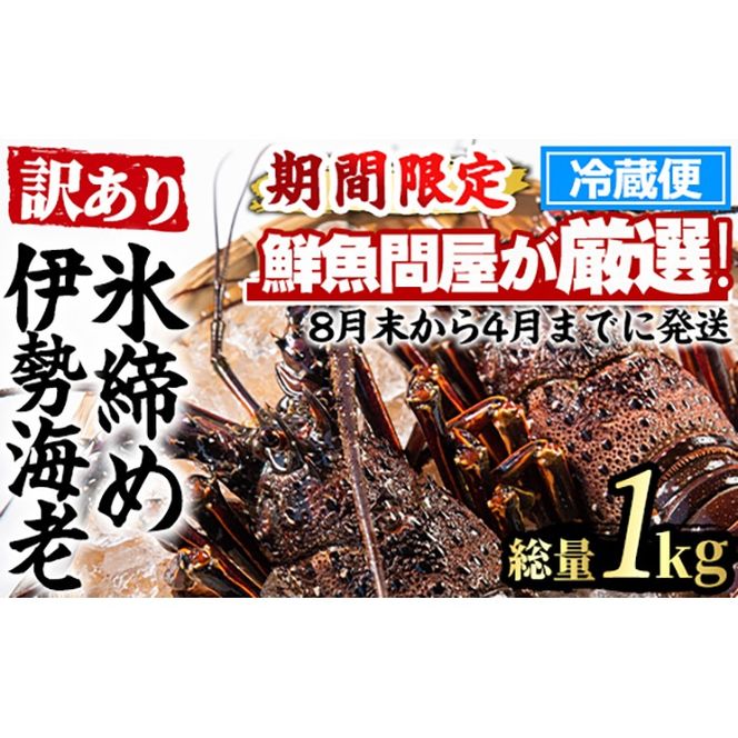 【0343207a】＜訳あり＞朝獲れ発送！鮮魚問屋が厳選した氷締め伊勢海老(2尾・総量1kg以上) えび 魚介類 海鮮 刺身 塩焼き【江川商店】