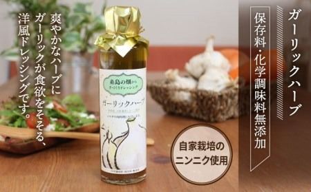 【年内発送】糸島 の畑から 手づくり ドレッシング 【いろいろ楽しめる4本セット】[ATA003] ドレッシング 詰め合わせ セット 和風 ごま ガーリック ハーブ