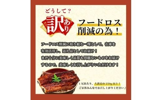 【訳あり】楠田の極うなぎ蒲焼き10尾(計2.5kg以上・1尾あたり250g～289g)  j7-002