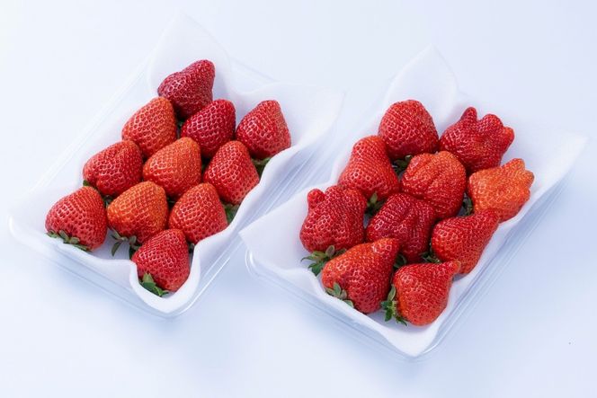 福岡産【冬】あまおう4パック【南国フルーツ株式会社】_HA1910