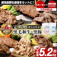 ＜定期便・全6回＞岩塩付き！鹿児島県産黒毛和牛・黒豚定期便 (肉：総量約5.2kg/岩塩：600g) 国産 九州産 鹿児島産 牛肉 国産牛 豚肉 セット サーロイン ステーキ 切り落とし 切落し コラボ ピンク 岩塩 【スターゼン×梅研本舗ジャパン】akn501-04