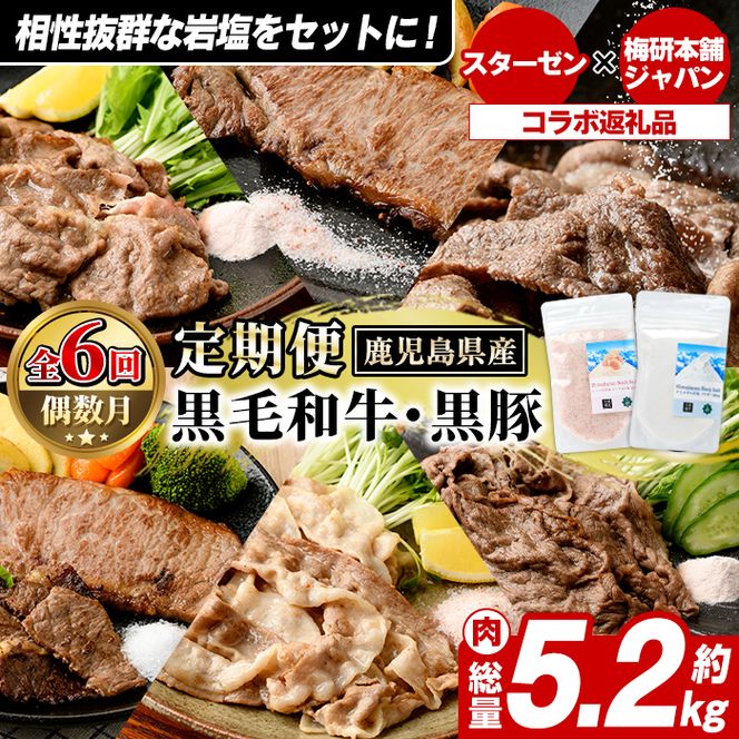 ＜定期便・全6回＞岩塩付き！鹿児島県産黒毛和牛・黒豚定期便 (肉：総量約5.2kg/岩塩：600g) 国産 九州産 鹿児島産 牛肉 国産牛 豚肉 セット サーロイン ステーキ 切り落とし 切落し コラボ ピンク 岩塩 【スターゼン×梅研本舗ジャパン】akn501-04