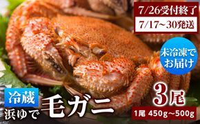 ★期間限定★ 浜ゆで！毛ガニ 約400g～450g×3尾 チルド配送 7/17~7/30発送【斉藤水産】 北海道 冷蔵 チルド 毛蟹 カニ かに 白老 前浜