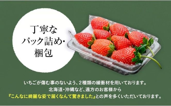 【先行予約】いちご おめでた紅白2種いちご 4パック ※2027年1月～発送