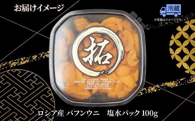 納期指定・不在対応不可 訳あり ロシア産 バフンウニ 塩水パック 100g×1 雲丹 ウニ うに 新鮮 海産物 冷蔵 濃厚 甘い