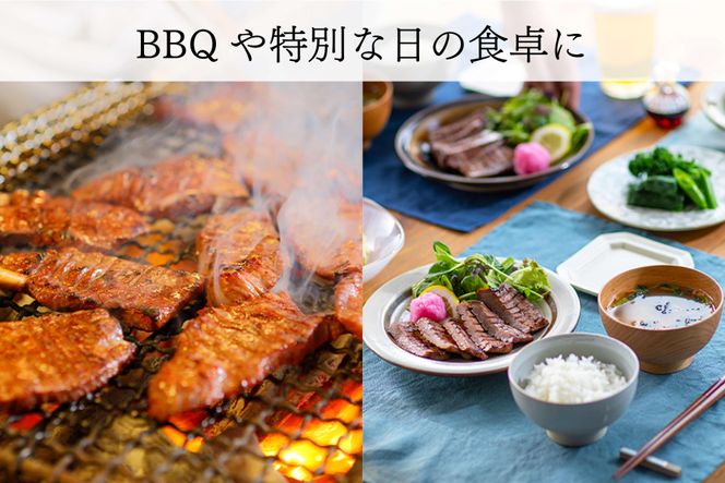たんや善治郎　牛たん極太10本（塩味）【肉 牛肉 タン 仙台 名物 グルメ 厚切り 焼肉 プレミアム バーベキュー ジューシー 柔らかい 食品 ギフト 風味豊か 旨味 冷凍保存 焼き方簡単 食べ比べ 高級 贅沢】 041009_GA002