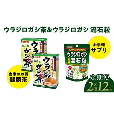 ＜12ヶ月連続＞ウラジロガシ茶＆ウラジロガシ 流石粒［027Y34-T］　山本漢方　定期便