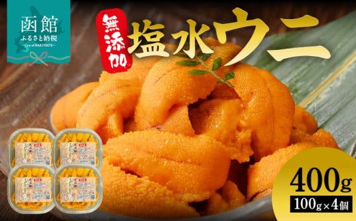 無添加 塩水ウニ パック ミョウバン不使用 内容量 400g 獲れたて 新鮮 ウニ 塩水 パック詰め 磯の風味 堪能 うに丼 軍艦巻き 海の幸 海鮮 海産物 お取り寄せ 北海道 函館市 送料無料_HD069-034