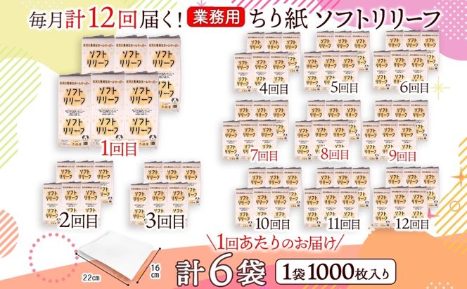 定期便 12ヵ月連続お届け ちり紙 リリーフ 1000枚×6袋 紙 無香料 ティッシュペーパー 落とし紙 ペーパー 紙 紙製品 日用品 消耗品 紙製品 ストック 備蓄 生活必需品 エコ まとめ買い トイレに流せる 介護 川一製紙 送料無料 岐阜県 美濃市　　　　　　　　