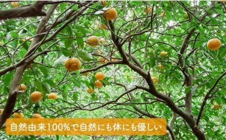 【全12回定期便】農香 ばぁむ クリーム糸島市 / わかまつ農園 [AHB028]