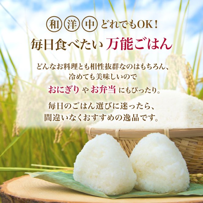 【ふるプレ限定品】【新米先行予約】【2026年10月以降順次発送予定】《定期便3ヵ月》ひとめぼれ 令和8年度産 精米5kg【精米 白米 米 コメ お米 おこめ ブランド米 ご飯 ごはん 秋田 にかほ】
