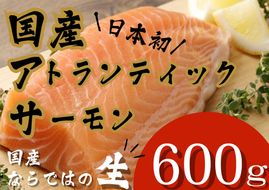 C49【1月31日(金)発送】日本初！今話題の国産アトランティックサーモン「FUJI ATLANTIC SALMON」【生】600ｇ