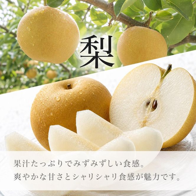 全2回 フルーツ定期便（桃 約1.8kg 8月、梨 約2kg 9月発送） ｜ 和歌山県産 モモ ナシ 旬 果物