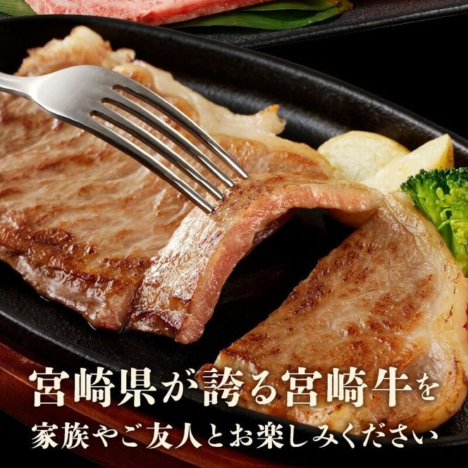 宮崎牛サーロインステーキ 200g N0140-YA2263