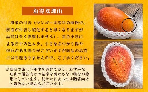 【先行予約】《2026年6月下旬～7月下旬発送》 最高糖度20度！？ 完熟！3Lサイズ 石垣島マンゴー 2玉約900g【沖縄 石垣島 石垣 八重山 マンゴー 完熟マンゴー 期間限定 数量限定 沖縄県 石垣島産 】TF-5-1_R8