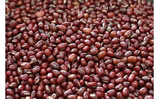 E114 銭の菓子（もなか）