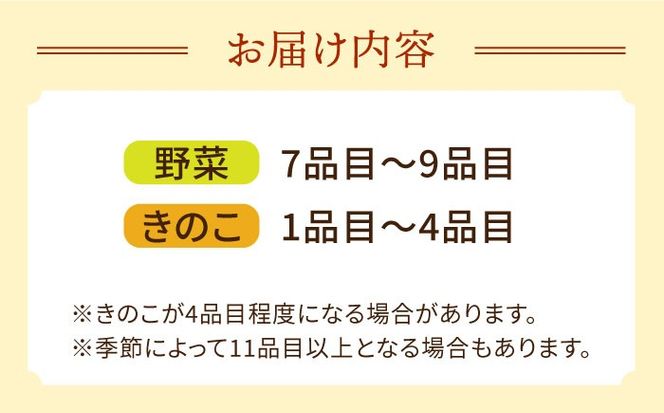  新鮮野菜・キノコ 10品目以上詰め合わせ / 野菜 やさい きのこ キノコ 詰め合わせ セット 野菜セット きのこセット / 吉岡青果 / 南島原市 [SCZ004]