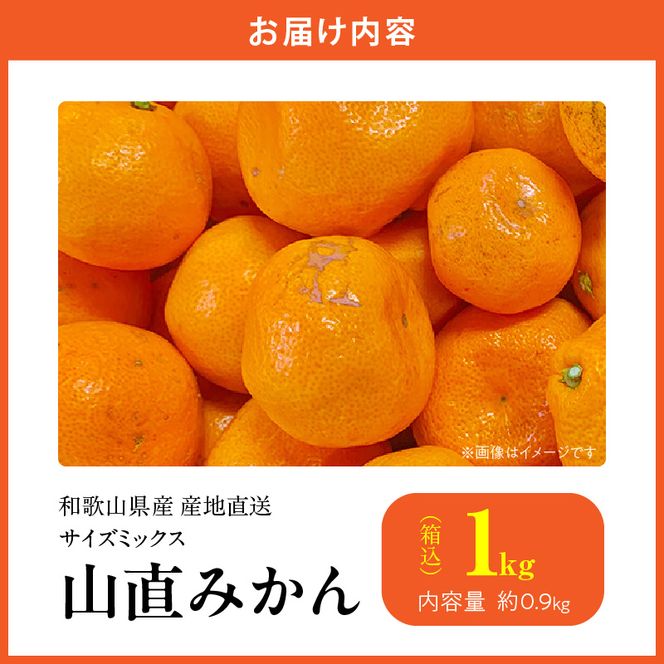 MK1050_【2026年先行予約】みかん 山から直送 箱込 1kg ( 内容量 0.9kg ) 鮮度優先ごろごろ規格 和歌山県産 産地直送 【みかんの会】