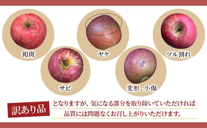【6月 クール便配送】雪国鮮度をと閉じ込めた りんご 【糖度13度以上で選果】CA貯蔵 訳あり 有袋ふじ 約5kg リンゴ 果物 青森県 鶴田町