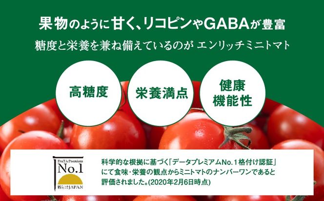 【先行予約】エンリッチミニトマト1kg【070006】