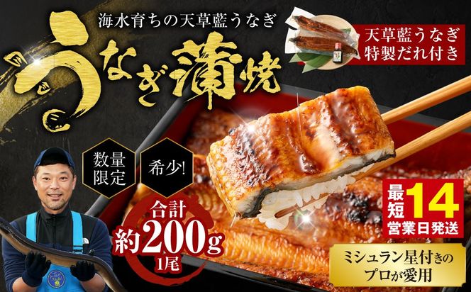 yF{Vszy~Vt̃vpz110ZbgIC炿̓VȂ Ă 1Zbgyv200gz ʌ!! V EiM Ȃ Ȃ V̊ Ȃ Y