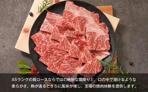 【A5ランク限定】淡路島産黒毛和牛 焼肉用 肩ロース 500g【神戸牛】    焼肉セット
