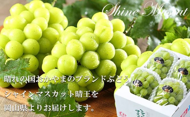 ぶどう 2026年 先行予約 シャイン マスカット 晴王 3房～6房 約2kg 7月上旬～8月中旬発送 ブドウ 葡萄 岡山県産 国産 フルーツ 果物 ギフト 種なし
