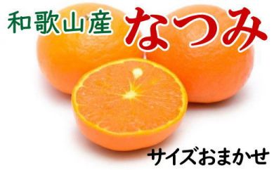 【先行予約】【希少柑橘】なつみ 和歌山県産 約5kg（S～2Lサイズおまかせ）