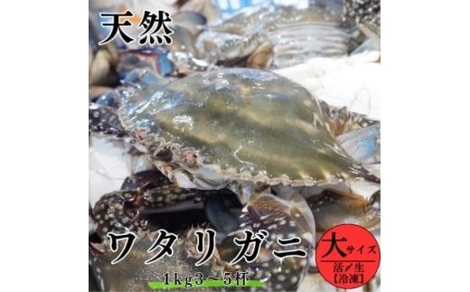 活〆生ワタリガニ(大サイズ)1kg3～5杯 冷凍便＼特製三杯酢付き/