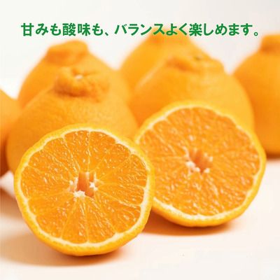 【先行予約】訳あり 不知火 2.5kg 減農薬 サイズミックス 不揃い 愛南フルーツ 発送時期：2027年3月下旬～なくなり次第終了