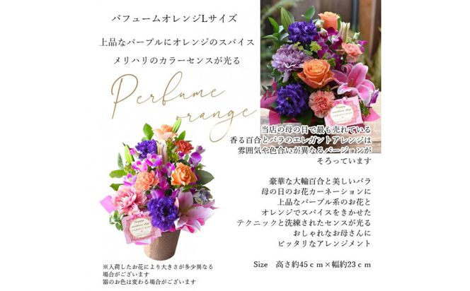 【母の日】パフュームオレンジLサイズ ＜お届け日：2026年5/8～5/10 当店おまかせ ＞母の日カード付き【 母の日 ギフト アレンジ 花 贈り物 大阪府 門真市 】 272230_BG117