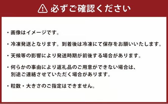 【訳あり2kg】湧き水育ちの国産冷凍ブルーベリー(500g×4パック)農家直送【ブルーベリーガーデンcoicoi/愛知県額田郡幸田町】 ※2026年6月～発送